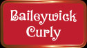 Baileywick Curly